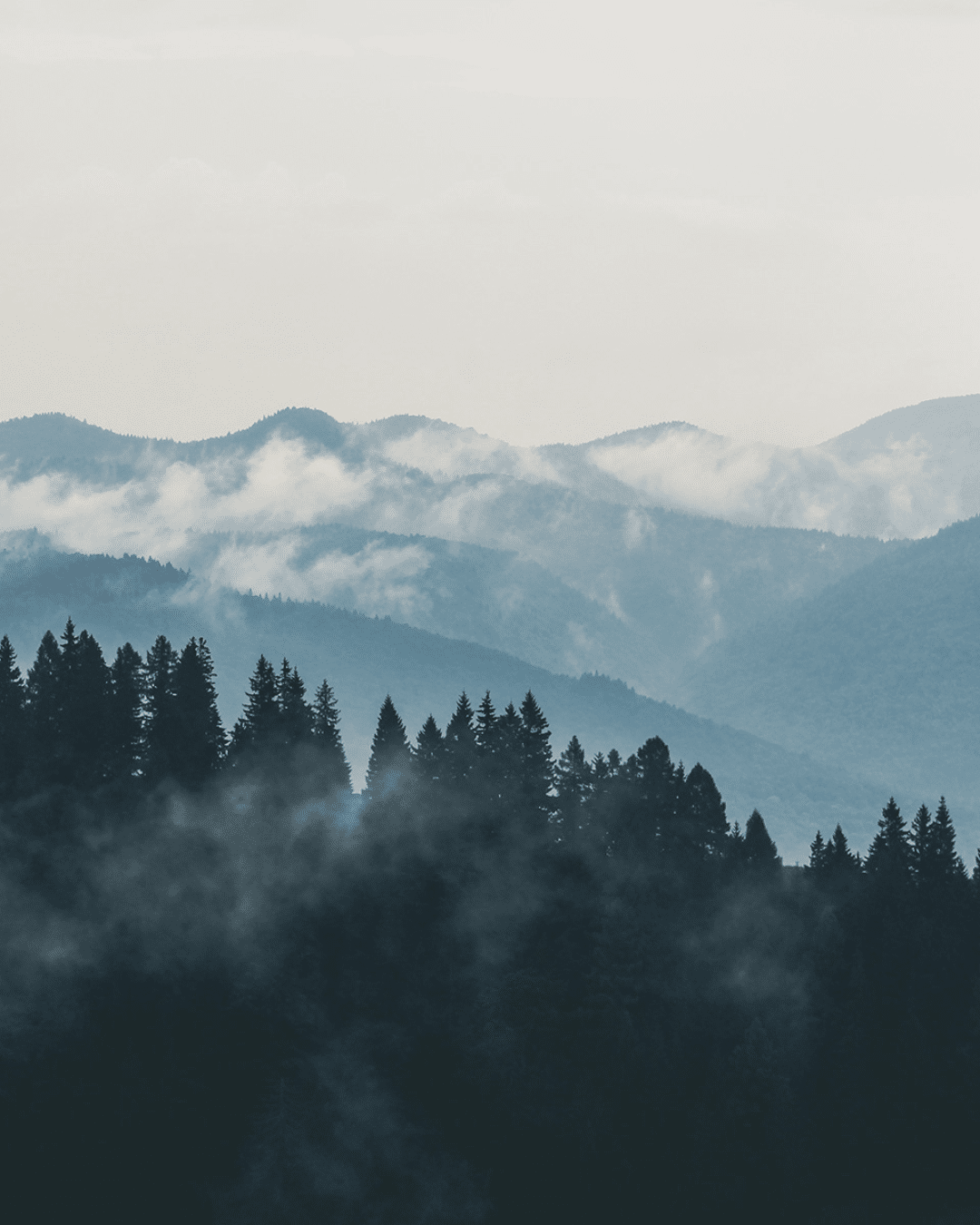 Untitled design 13