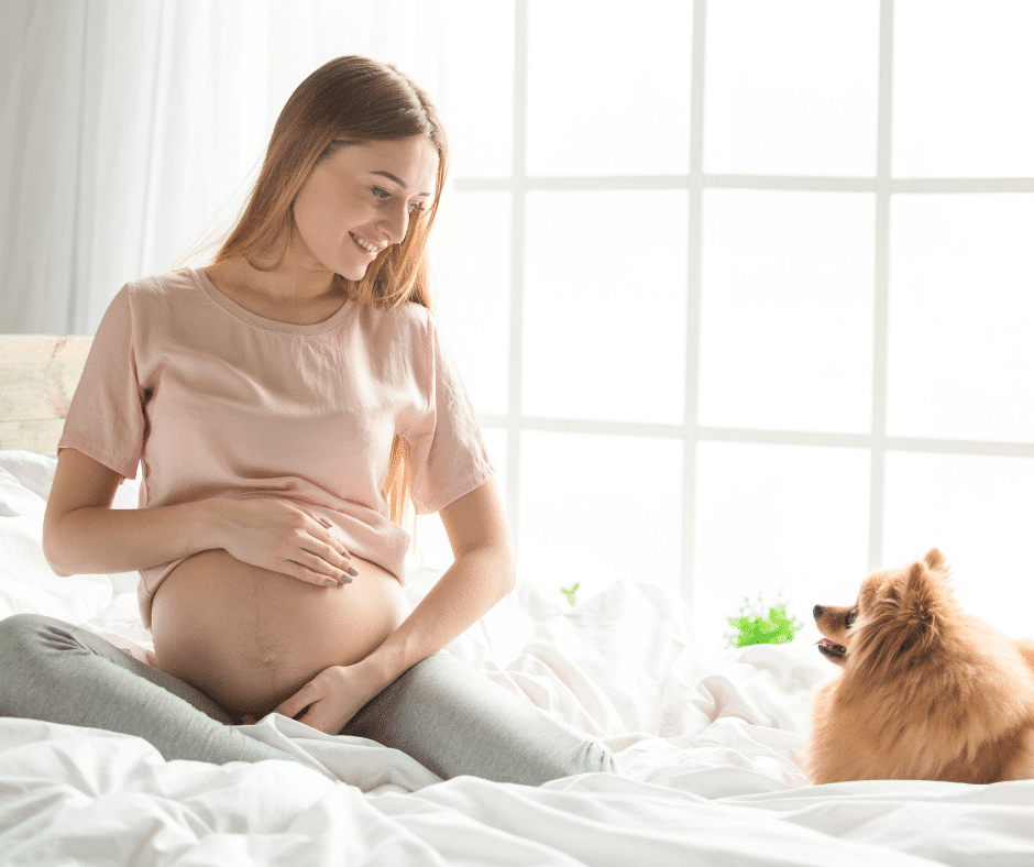 Massage Hoz 5 – Chiropractic Pregnancy Care in Lehi Utah | Foundation Chiropractic